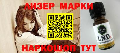 apvp Кингисепп