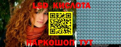 apvp Кингисепп