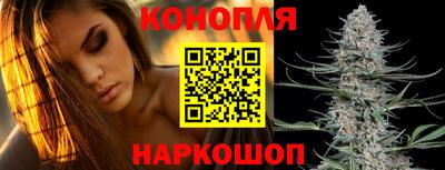 apvp Кингисепп
