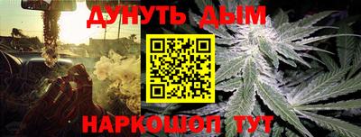 apvp Кингисепп