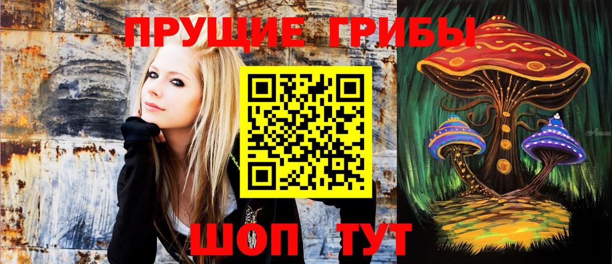 Арзамас  Псилоцибиновые грибы Magic Shrooms  Галлюциногенные грибы Cubensis  Вход с VPN 